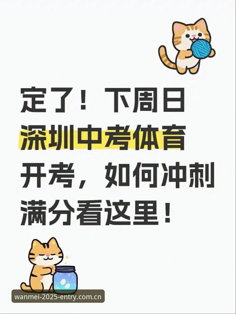 2025完美体育官网新版上线，如何保障用户稳定流畅的在线体验？