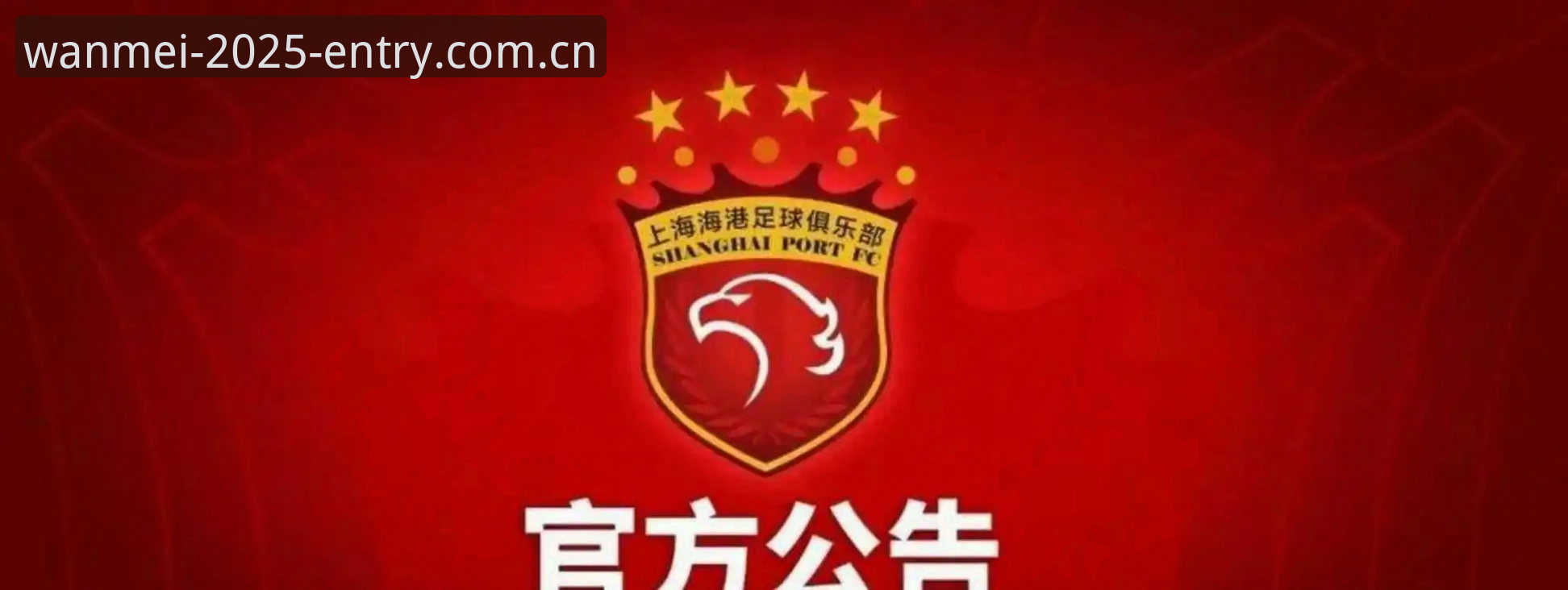 揭秘足协第三批禁足名单：65人背后的中国足球反腐风暴